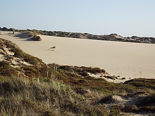 Cresmina Dune dune system on the edge of the Sintra-Cascais Natural Park, Portugal