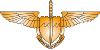 Crest of the Special Air Service of Air Force.svg