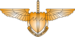 Crest of the Special Air Service of Air Force.svg