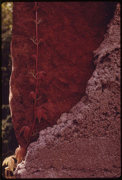 File:DETAIL OF CRUMBLING INTERIOR OF AN ABANDONED TOURIST CABIN BY THE SIDE OF ROUTE 54 AT NEW LINN CREEK - NARA - 551331.jpg