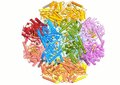 File:De-novo-modeling-of-the-F420-reducing-NiFe-hydrogenase-from-a-methanogenic-archaeon-by-cryo-elife00218v006.ogv