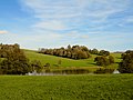 Thumbnail for File:Deer across Wadhurst Deer Park Lake - geograph.org.uk - 3743839.jpg