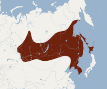 Distribution of Myotis petax.png