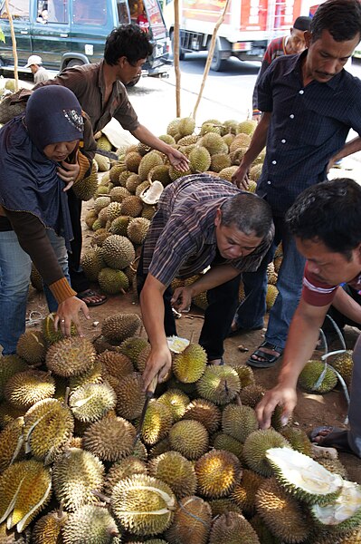 File:Durian on sale near Cirebon.jpg
