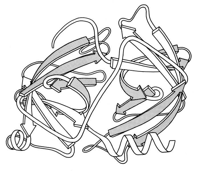 File:Elastase ribbon BW.jpg