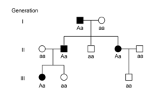 An example of a pedigree for an autosomal dominant condition Example autosomal dominant pedigree 01.png