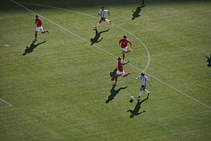 Argentina En La Copa Mundial De Fútbol De 2010: Clasificación, Preparación, Uniforme