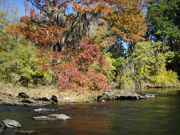 Fall colors on the Coosa River near Wetumpka, Alabama