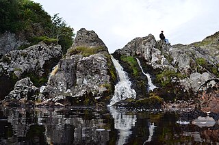 <span class="mw-page-title-main">Loups of Dalnigap</span>