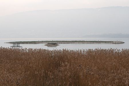 Fanel vogelinseln