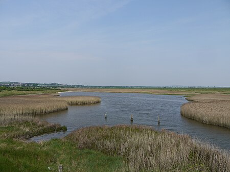 Farlington marshes april 2011