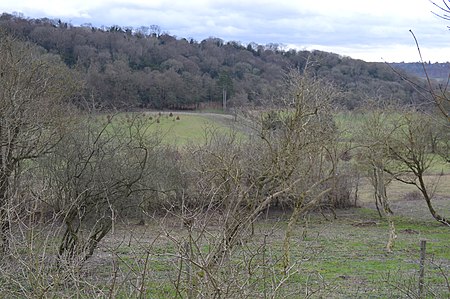 Fayland Chalk Bank