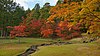 Feeder stream of Mōtsū-ji Pure Land Garden.jpg