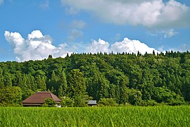 Field - Fujikura - panoramio.jpg