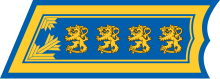 Finland-AirForce-OF-9.svg