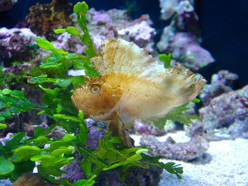 Seattle Aquarium