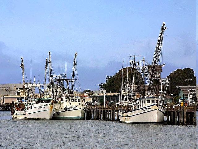 File:Commercial Fishing Boats at Overstockboats.jpg - Wikimedia
