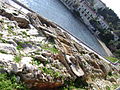 The Ancient Roman Cemetery, by the waterfront.