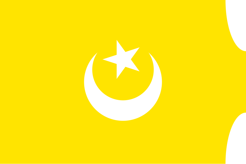 File:Flag of Hafsid Dynasty (1229 - 1574).svg