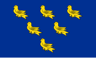 The Flag of Sussex is based on a design that dates back to at least 1622 Flag of Sussex.svg