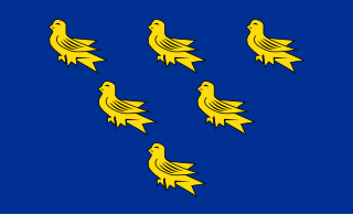 Flag of Sussex Flag of English county