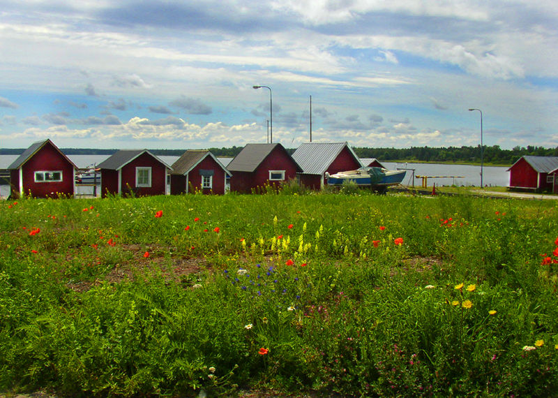File:Flickr - Per Ola Wiberg ~ mostly away - Kappelshamn, northern Gotland.jpg