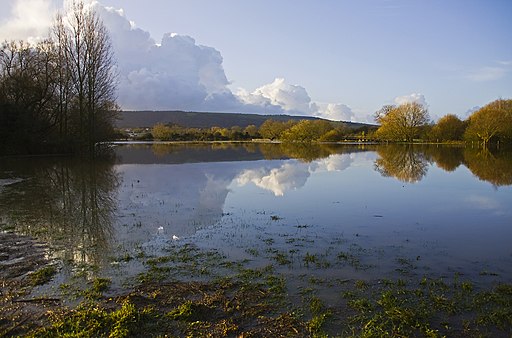 Flood reflections River Stour near Child Okeford 20091115