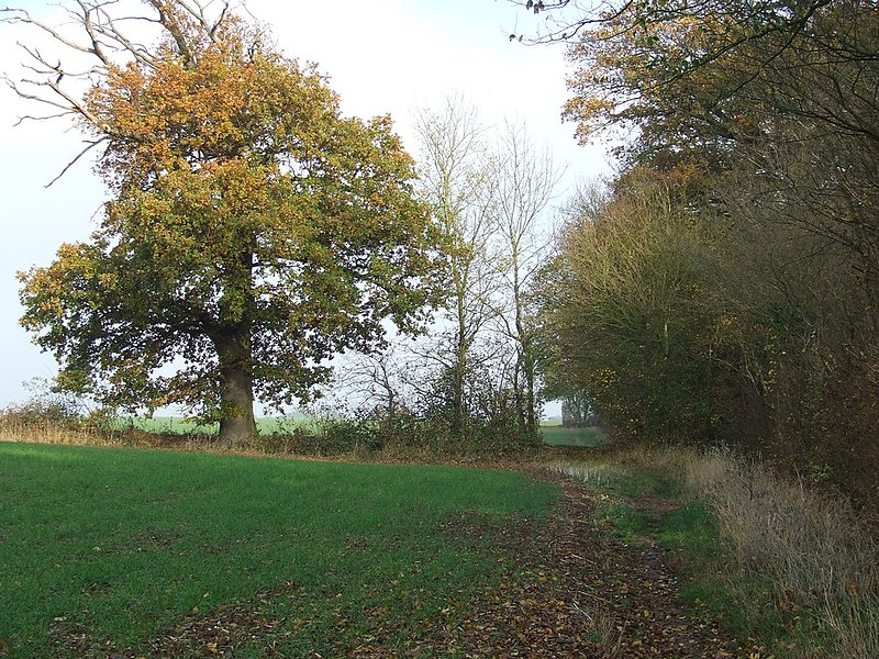 File:Footpath - geograph.org.uk - 2701832.jpg