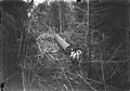 Four loggers standing near log being hauled during yarding operation, Washington, ca 1909-1910 (INDOCC 1415).jpg