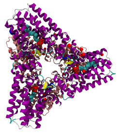 GGPP synthase