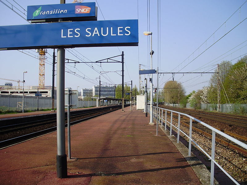 File:Gare des Saules 02.jpg