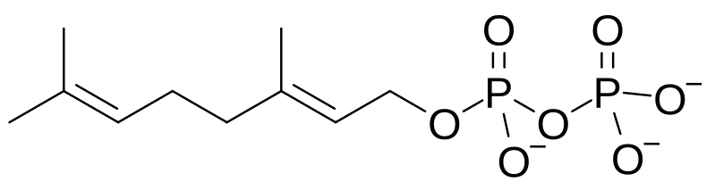 File:Geranyl pyrophosphate anion.svg