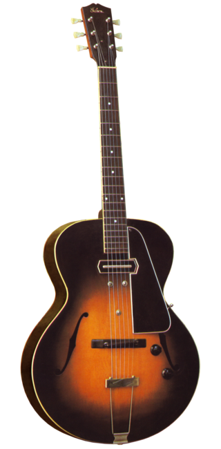 <span class="mw-page-title-main">Semi-acoustic guitar</span>