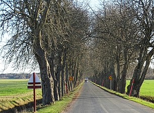 Kastanjallén söderut.