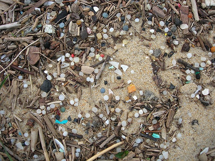 Granulés plastiques industriels sur une plage de la côte Aquitaine.JPG