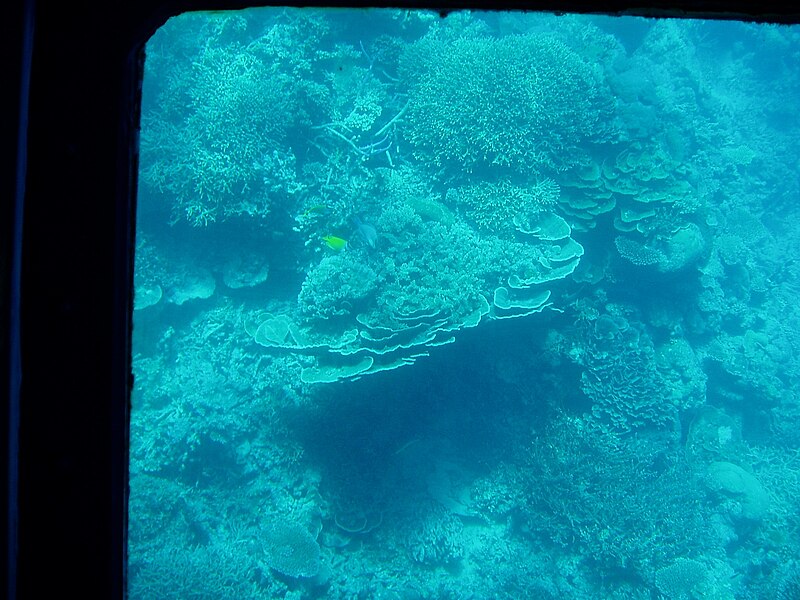 File:Great Barrier Reef (GBR) 3.jpg