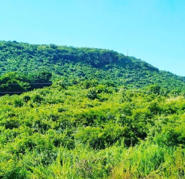 File:Green Mountain hill.jpg