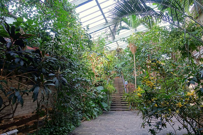 File:Greenhouse view - Wilhelma Zoo - Stuttgart, Germany - DSC01975.jpg