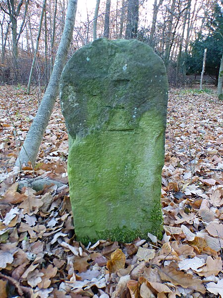 File:Grenzstein Siegelberg (1), Seite 1.jpg