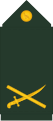 Brigadier General (variant)