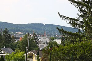 View from the rose hill to the wooded Hagenberg