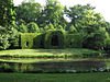 Arborele de carpen în Bürgerpark - Bremen - 2011.jpg