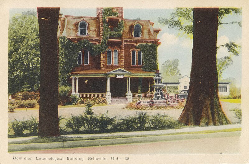 File:Hastings County Archives 2017-61 (1) front (35644636621).jpg