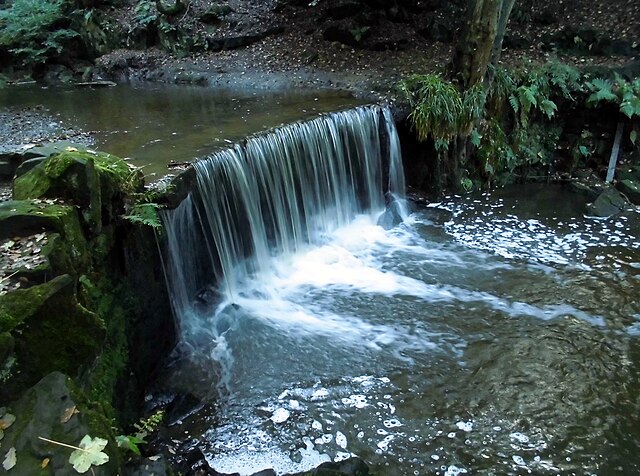The Trent passes over a man-made waterfall in Hollin Wood just downstream from its source.