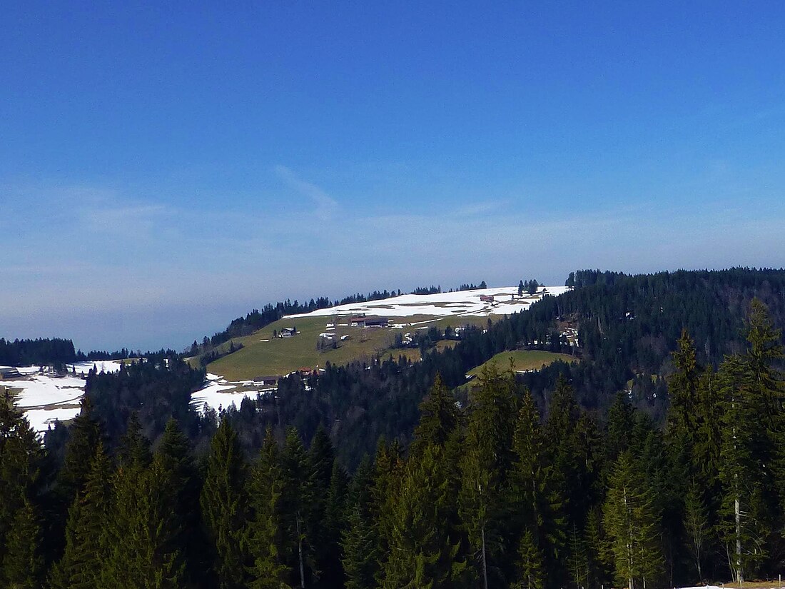 Hochberg (Allgäuer Alpen)