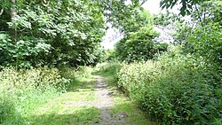 Hogsmill LNR 3.JPG