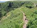 Vignette pour Grande traversée des Vosges