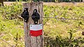 * Nomination Walk through The Strubben-Kniphorstbos. Fence of fence wire. --Famberhorst 18:14, 19 June 2017 (UTC) * Promotion Good quality. --Basotxerri 18:15, 19 June 2017 (UTC)