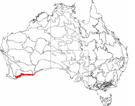 IBRA 6.1 Esperance Plains.png