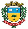 Official seal of Ilópolis